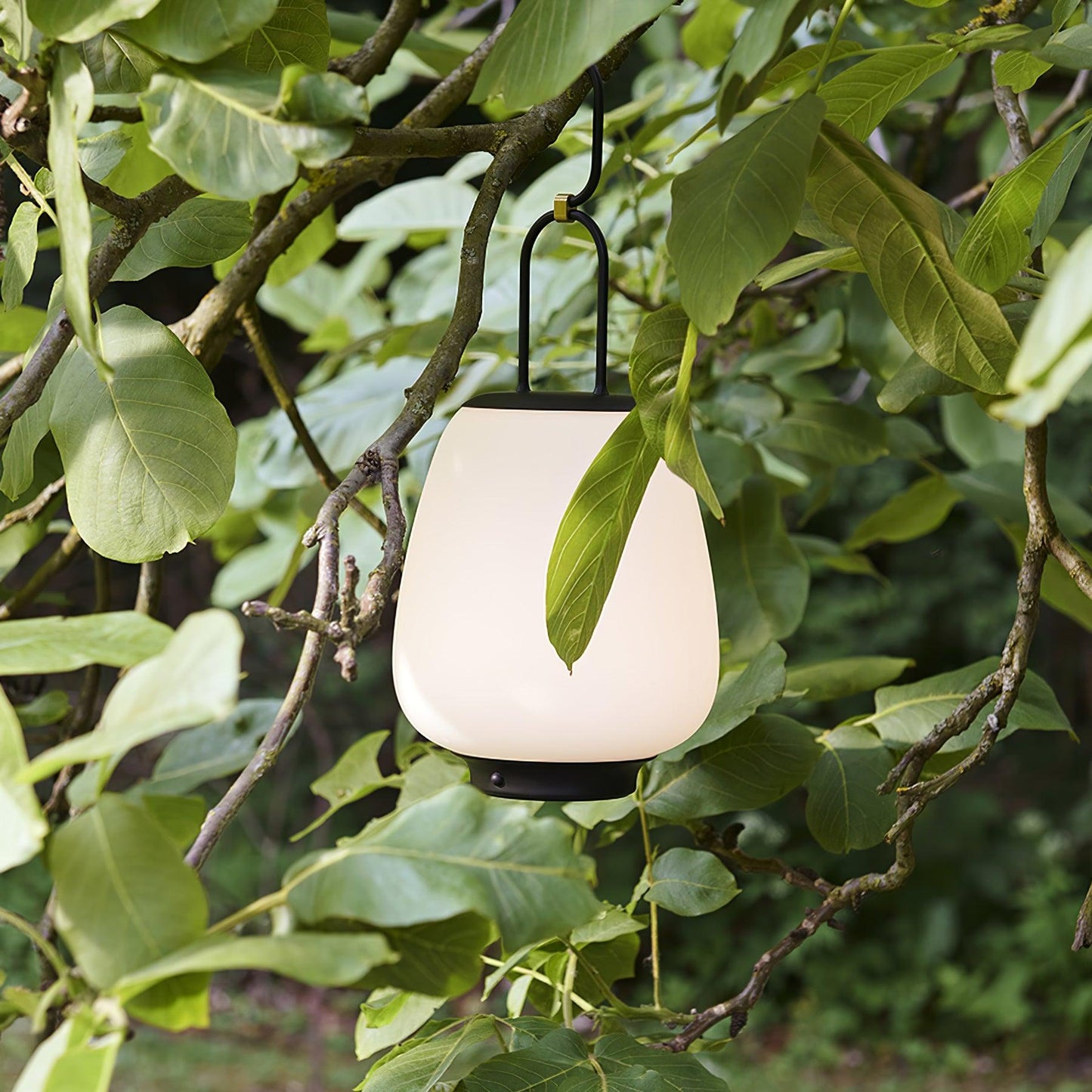 Lampe de Table Portable – Éclairage Élégant pour Maison et Bureau, Design Chic